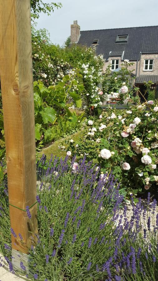 B&B La Cle Du Sud Merelbeke ภายนอก รูปภาพ