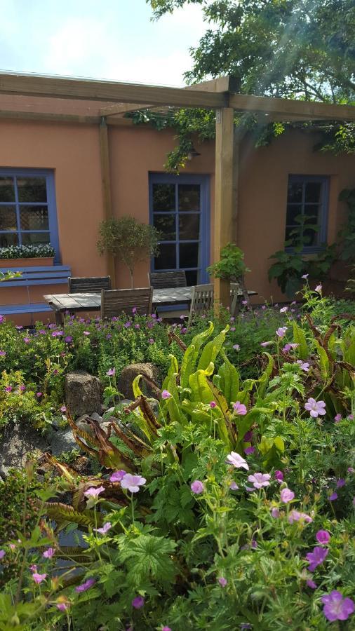 B&B La Cle Du Sud Merelbeke ภายนอก รูปภาพ
