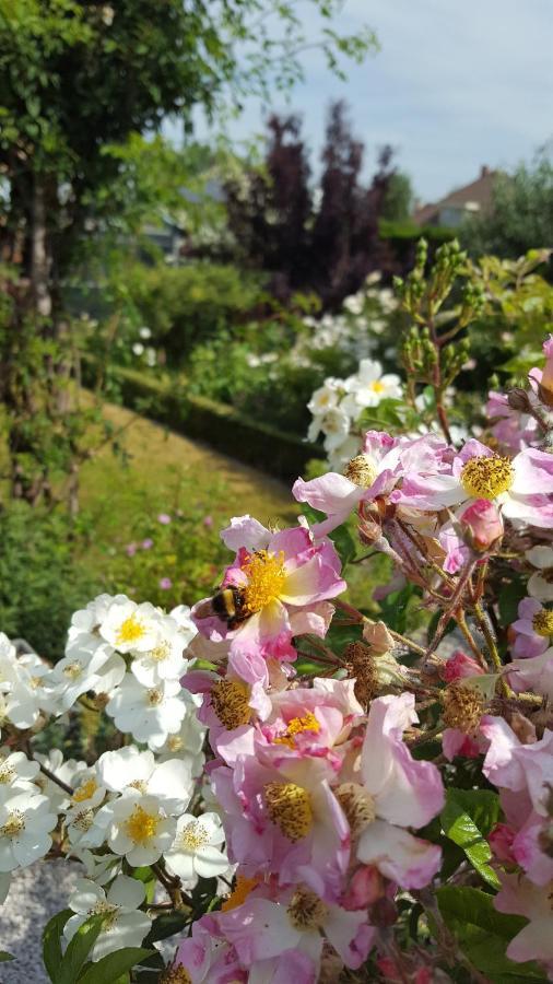 B&B La Cle Du Sud Merelbeke ภายนอก รูปภาพ