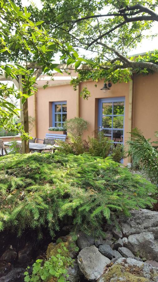 B&B La Cle Du Sud Merelbeke ภายนอก รูปภาพ